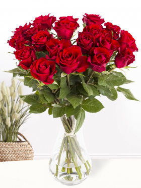 20 rode rozen