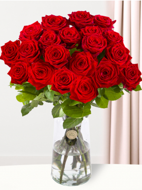 20 rode rozen - Red Naomi