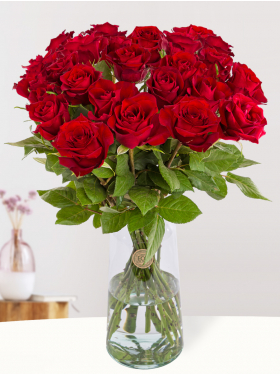 25 rode rozen - EverRed