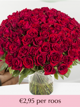 500 tot en met 1001 rode rozen - XL rozen - EverRed