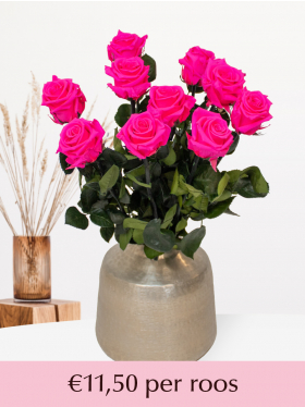 Felroze long life rozen