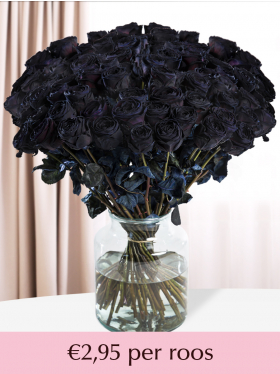 100 tot en met 500 zwarte rozen