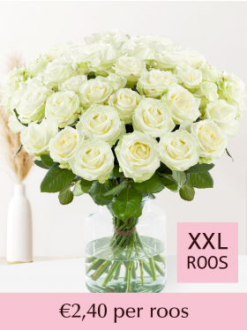 10 t/m 99 witte rozen