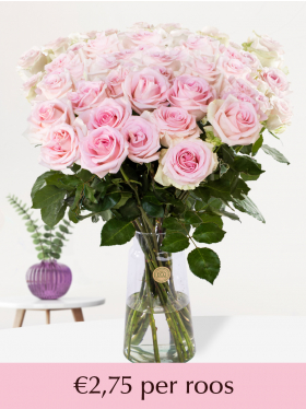 10 t/m 99 zachtroze rozen