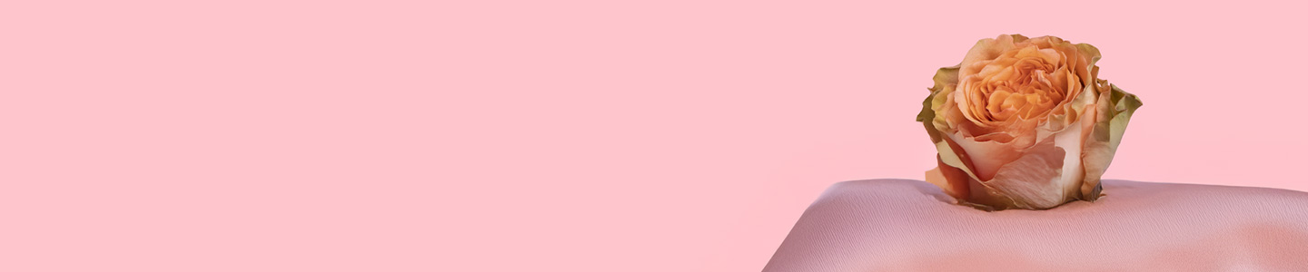 Rozensoort Country Home