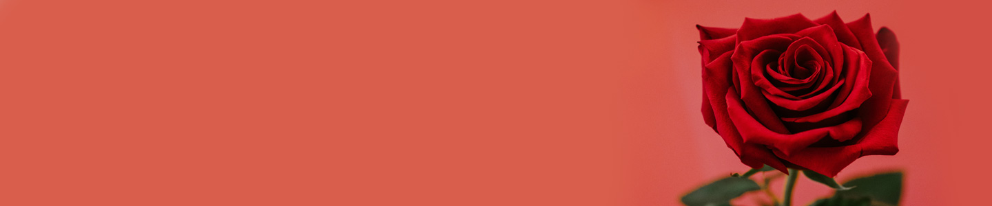 Rozen laten bezorgen in Flevoland