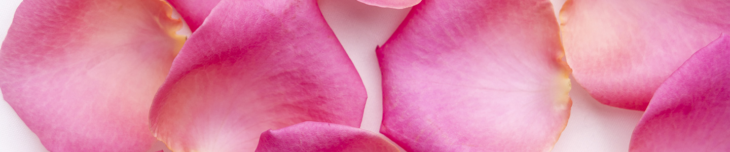 Rozenblaadjes strooien | DIY bloemenconfetti Rozenblaadjes strooien | DIY bloemenconfetti