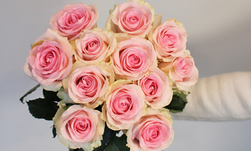 Betekenis roze rozen Betekenis roze rozen