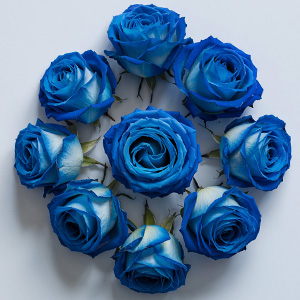Blauwe rozen bestellen Blauwe rozen bestellen