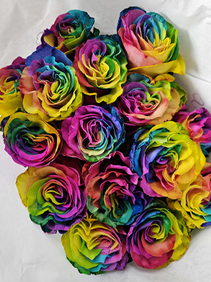 Regenboog rozen kopen Boeket regenboog rozen