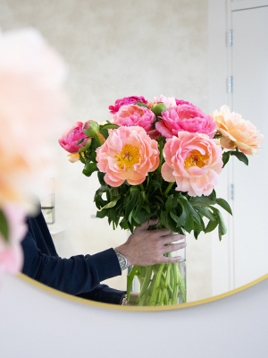 Coral Charm pioenroos