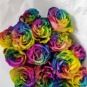 Regenboog rozen bestellen