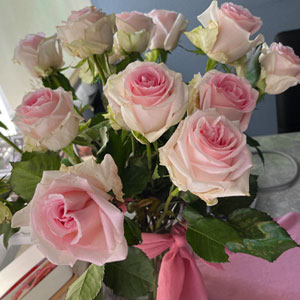 Zachtroze rozen - Sweet Revival