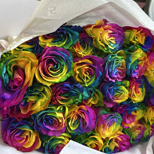 Klantfoto - regenboog rozen