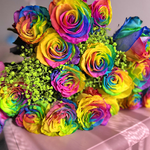Regenboog rozen met gipskruid Regenboog rozen met gipskruid