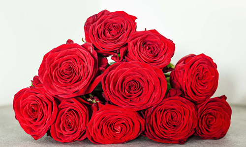 Blog: Red Naomi rozen