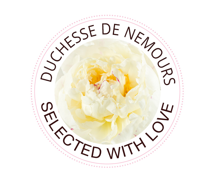 Duchesse de Nemours pioen Duchesse de Nemours roos