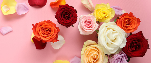 Kleurrijke boeketten