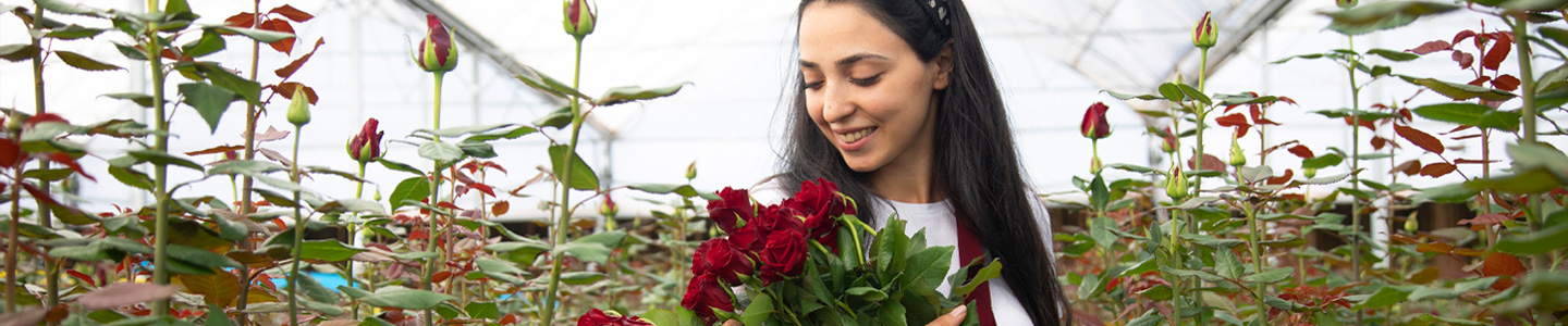 Rode rozen - Red Naomi