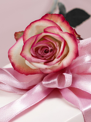 Bloemen voor een verjaardag Rozen voor een verjaardag