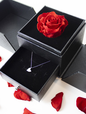 Flowerbox van rozen Flowerbox van rozen