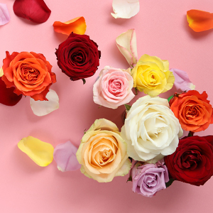Online rozen bestellen Online rozen bestellen