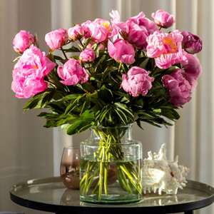 Roze pioenrozen - Dr. Fleming