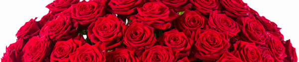 50 rode rozen (Red Naomi) 50 rode rozen (Red Naomi)