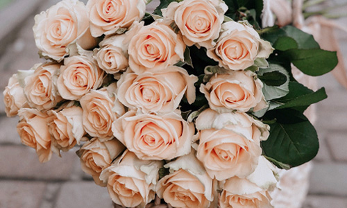 Exclusieve rozen Blog: Premium rozen