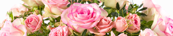 Roze verjaardag rozen bestellen Roze verjaardag rozen bestellen