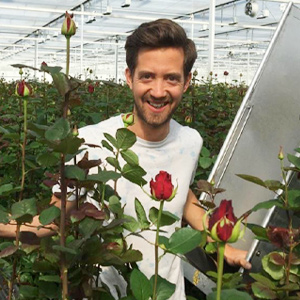 Meewisse Roses Meewisse Roses