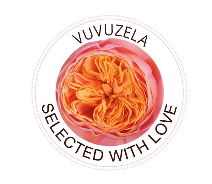 De Vuvuzela roos