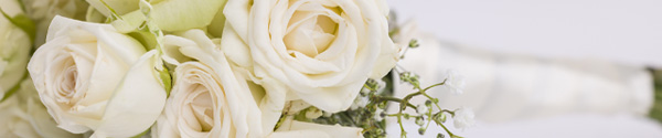 Bruidscollectie rozen
