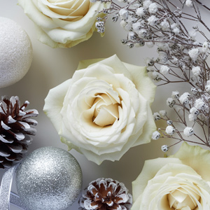 Rozen in de winter Rozen in de winter